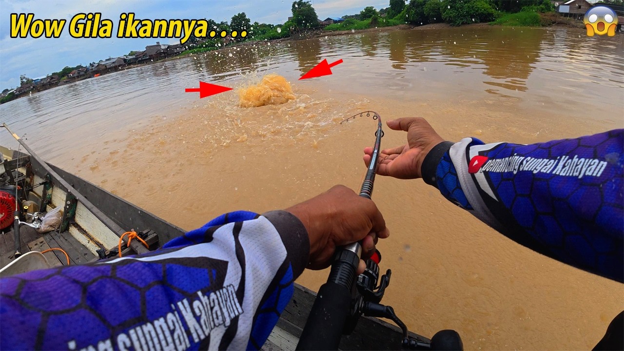 Strike ikan patin besar bikin gemetar badan lagi ‼️