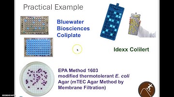 Using Stata for Nonparametric Equivalent Tests to the Paired T-Test