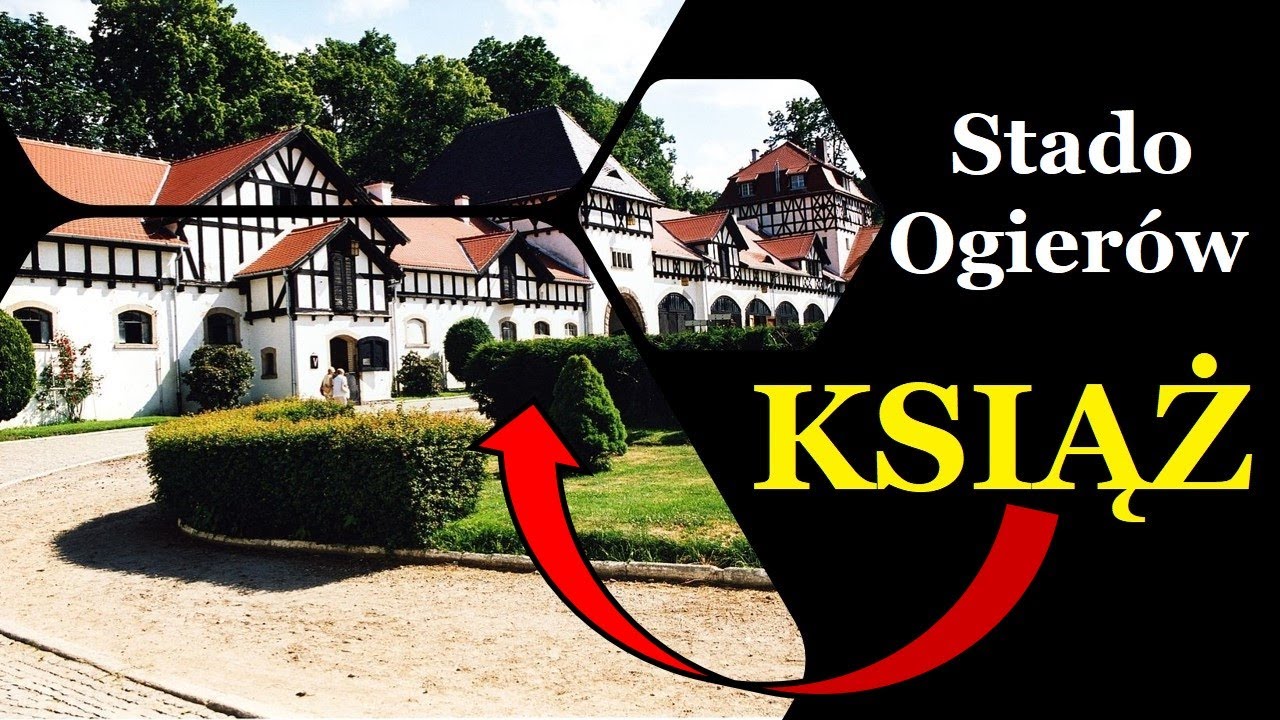 Stado Ogierów KSIĄŻ (hodowla koni, rasa śląska, stadnina, zabudowa stajenna, powozownia, Wałbrzych)