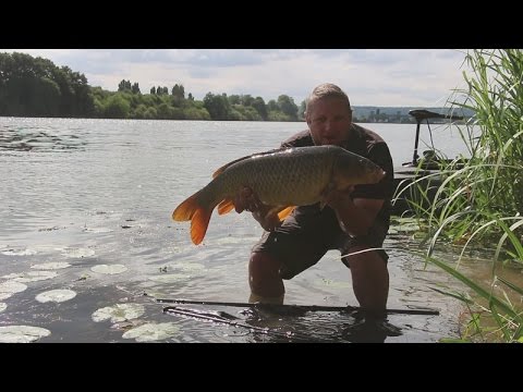 Pêcher la carpe en Seine l'été par Carpecanal
