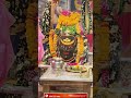1 May वैशाख ✨ पूर्णिमा महाकाल बाबा 🙏🏻 दर्शन 🌿 #mahakal #iloveujjain #kedarnath #love