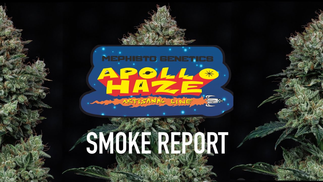 Apollo Haze Smoke Report