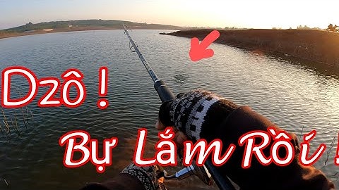 Săn Bắt Và Ẩm Thực | 32h Câu Cá Lóc Và Sinh Tồn Ở Đập Sông Ray / câu cá lóc / lure cá lóc / câu lure