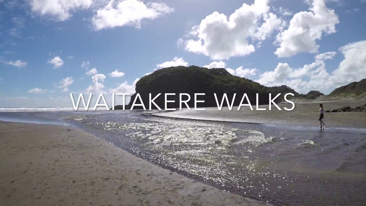 Waitakere Walks - Fun. Fitness. Friends.