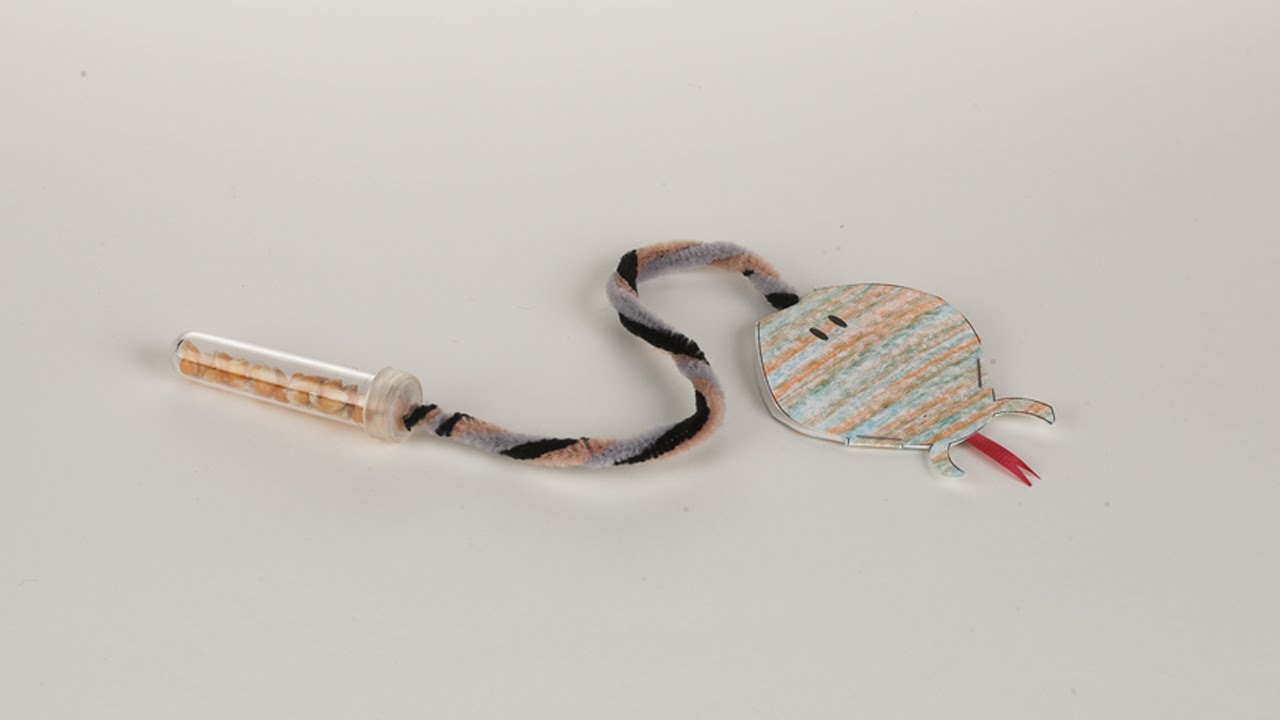 Make a Rattlesnake Craft - YouTube