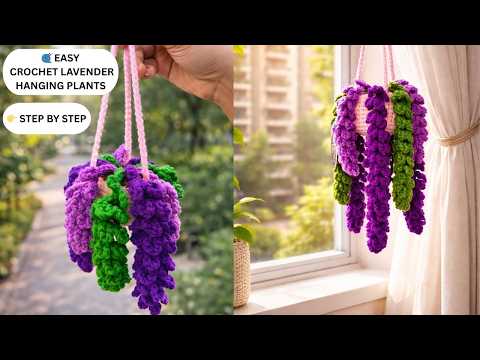 indoor house plants online The Pet-Friendly Bundle Houseplants