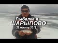 Рыбалка в Шарыпово 22 марта 2019