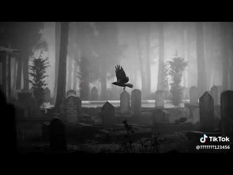 عل قبر لو مريت وصل سلامي حالات واتساب