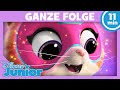 Die SuperKitties Und Die Angst Vor Dem Feuerwerk GANZE FOLGE 1 SuperKitties