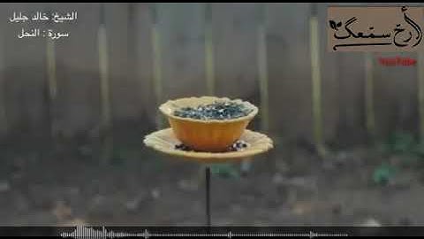 أرح سمعك تلاوة القرآن الكريم القارئ الشيخ خالد الجليل حالات واتس اب اسلامية  حالات دينية حالات قرآن