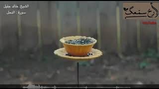 أرح سمعك تلاوة القرآن الكريم القارئ الشيخ خالد الجليل حالات واتس اب اسلامية حالات دينية حالات قرآن