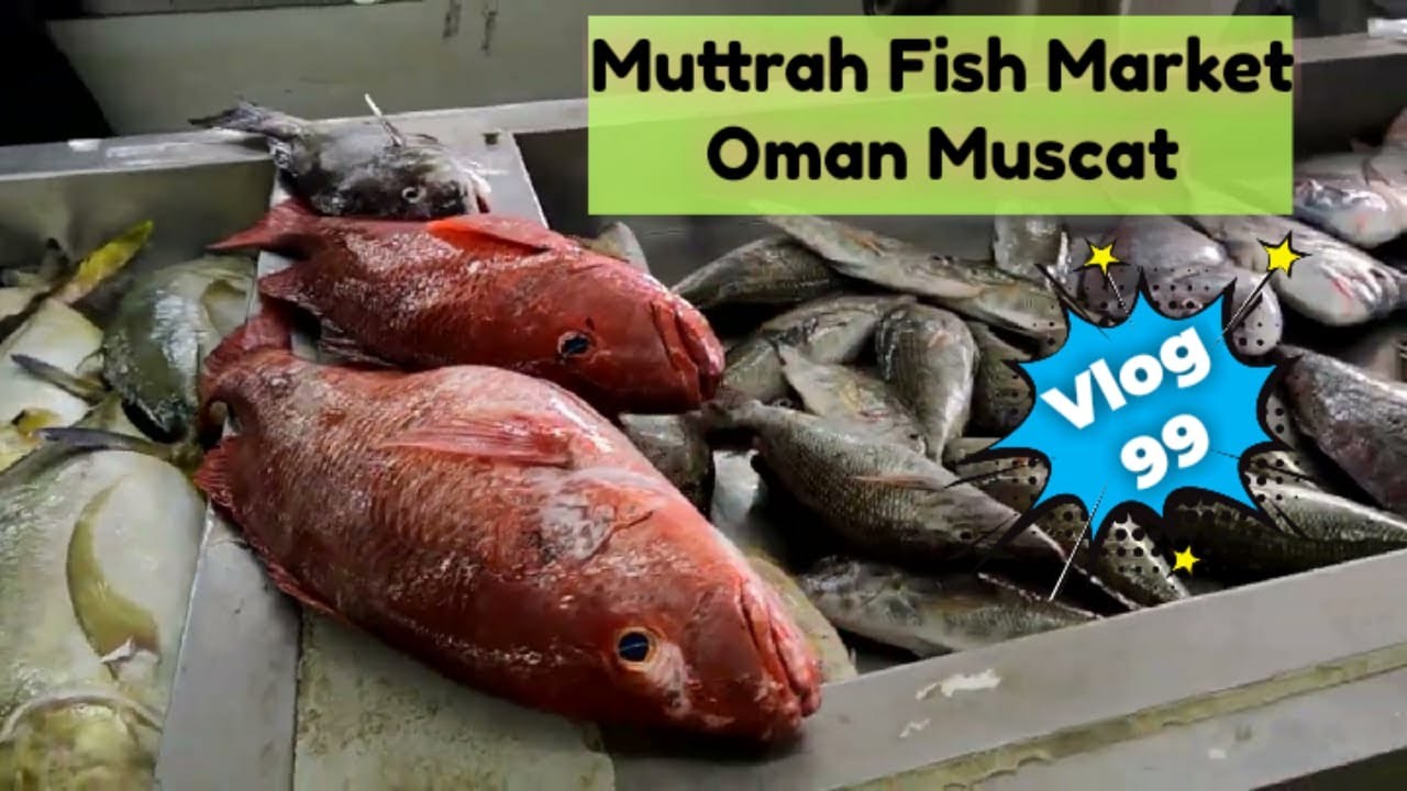 سوق مطرح للأسماك مسقط | Mutrah Fish Market Oman Muscat | ওমানের বড় মাছের বাজার | Vlog- 99