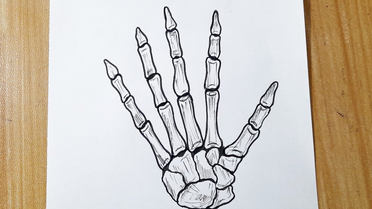How to draw skeleton hand easy step by step