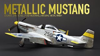 Eduard P-51D Mustang | 1/48 Scale | The Inner Nerd