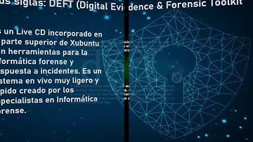 Deft Zero (Informática Forense)