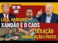 Lula, Harvard, Xandão e o Caos: Taxação, Indenização e Pastel de Louça ao Vivo