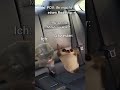 POV: Ihr macht einen Roadtrip... 🚗 #katzenvideos #katzen #shorts #roadtrip #familie