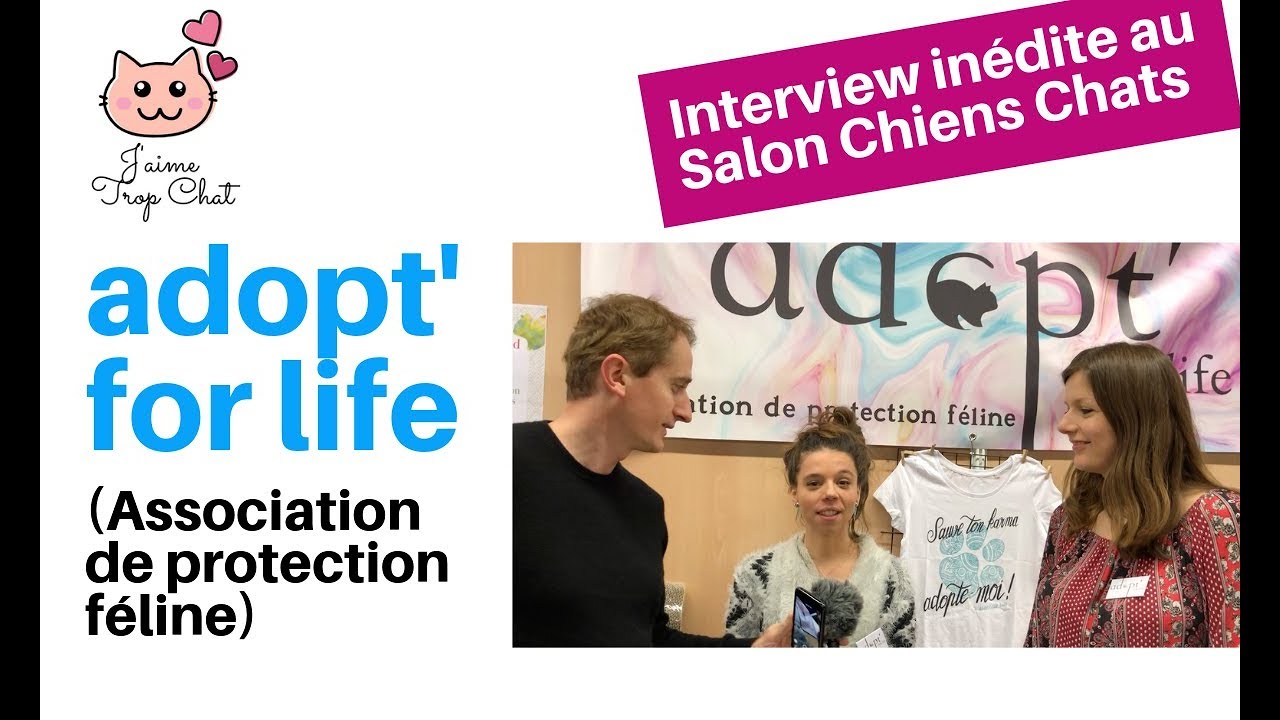 Salon Chiens Chats 2019 Interview Inédite Avec Lassociation Adopt For Life