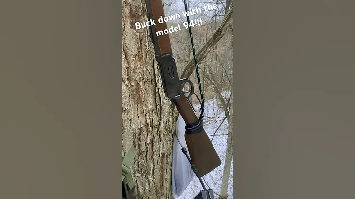 Buck down | Winchester Model 94 30-30 | PA Deer Hunting | 12/8/2024