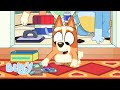 LIVE Playtime With Bingo Bluey