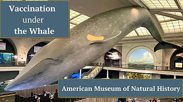Can you take food into natural history Museum?