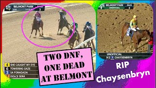 RIP Chaysenbryn. TWO DNF, ONE DEAD at Belmont 6.1.23 @thenyra #horseracing