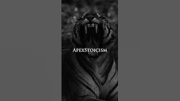 Fear nothing… #apexstoicism