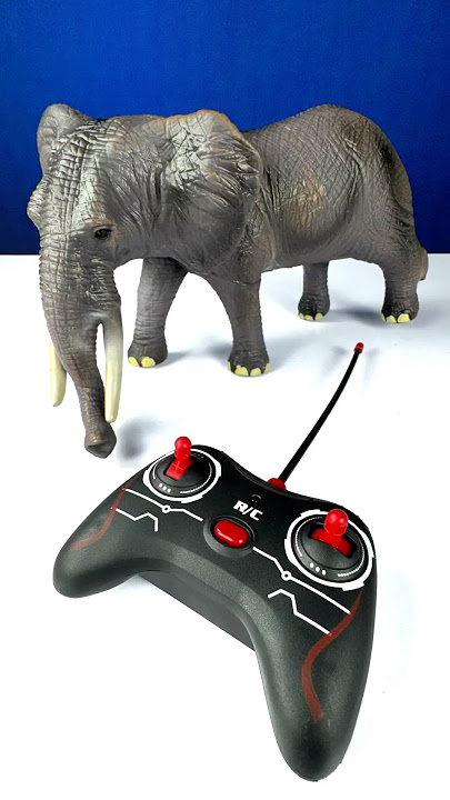Remote control elephant unboxing | real
