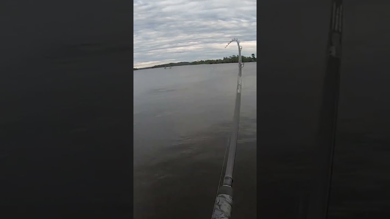 Big Pike While Muskie Fishing Lake Of The Woods Musky Canada