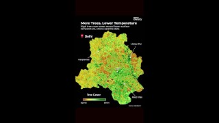 Delhi’s Heatwave Divide: Why Greener Areas Stay Cooler