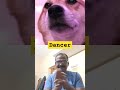 எனக்கு டான்ஸ் ஆட தெரியும் #babydog #funny #doglover