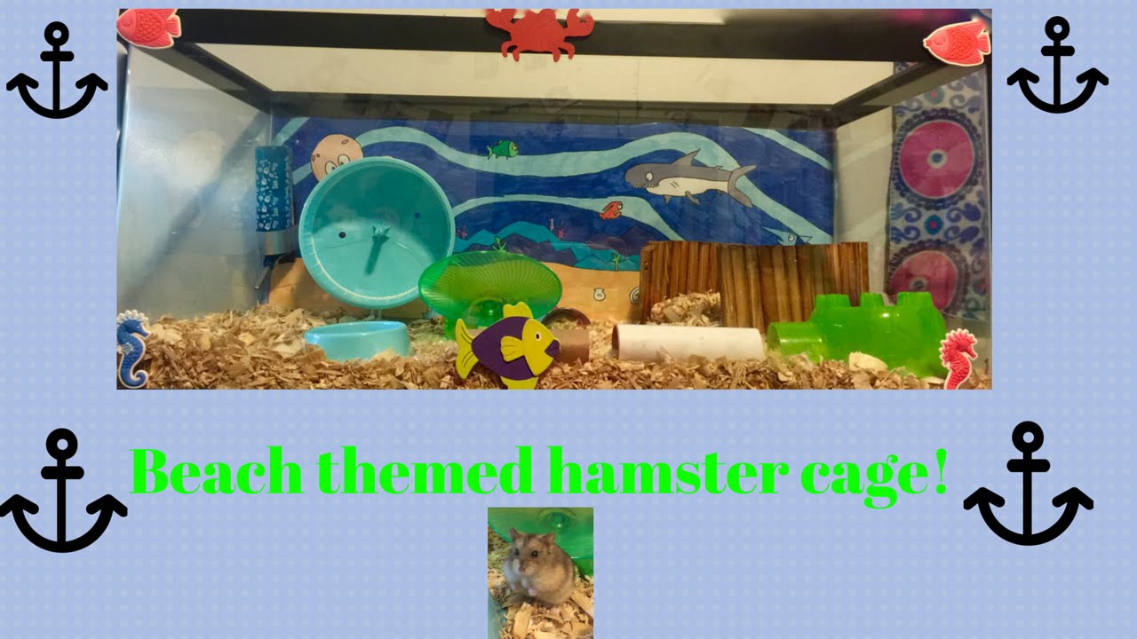 beach themed hamster cage