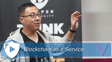 The Vechain Blockchain as a Service | Co-Founder & CEO Sunny Lu @ Draper University