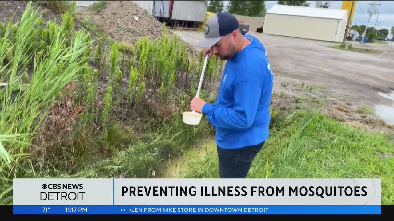 Mosquito-borne virus prevention in effect across Michigan