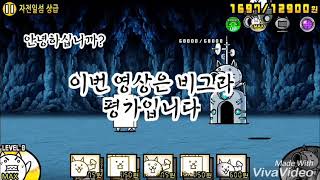 비그라 평가 별점?  몇점?