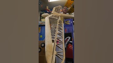 Minimoa In Progress ! #Shorts