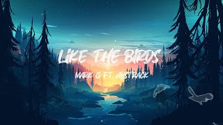 Like The Birds - Mark G Ft.  Abstrack _ lirycs videos