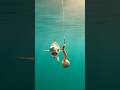 POV:대어 낚시 시점 #낚시 #fishing #ai #shorts
