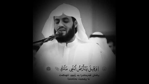 تلاوة خاشعة لرعد الكردي | سورة هود