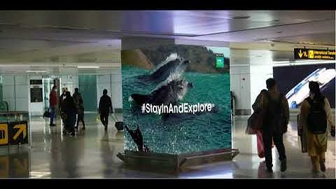 PoC video for Sony BBC Earth TV on 4 sided LED wall, at Delhi Airport