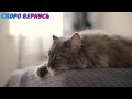 Пугаем всяких сволочей в фазмофобии [Phasmophobia]