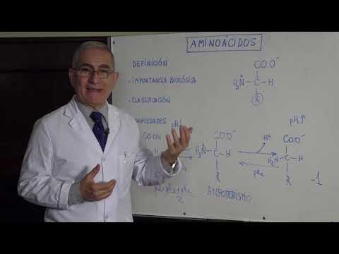 Video: ¿Qué aminoácido es Agu?