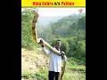 King cobra vs python shorts fact animal viral