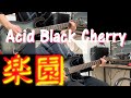 Acid Black Cherry - 楽園 (cover)