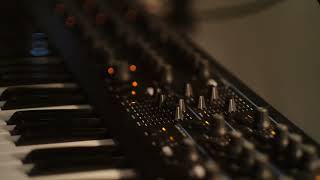 Granular Synthesis with an auto harp as a sample: Portal To A New Dimension