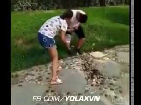 best-funny-video