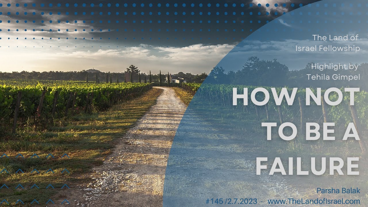 How Not to Be a Failure (Parsha Balak) - Tehila Gimpel: The Land of Israel Fellowship