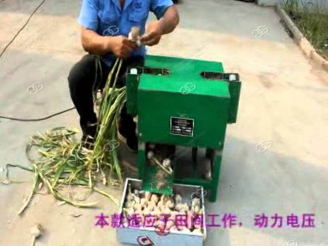 Flat Cutting Model Garlic Root Cutting Machine