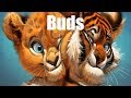 Photoshop  digital painting  buds time lapse