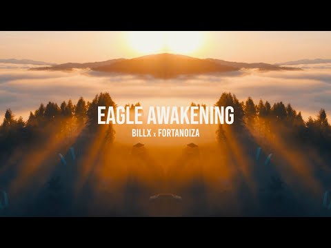 Billx & Fortanoiza - Eagle awakening